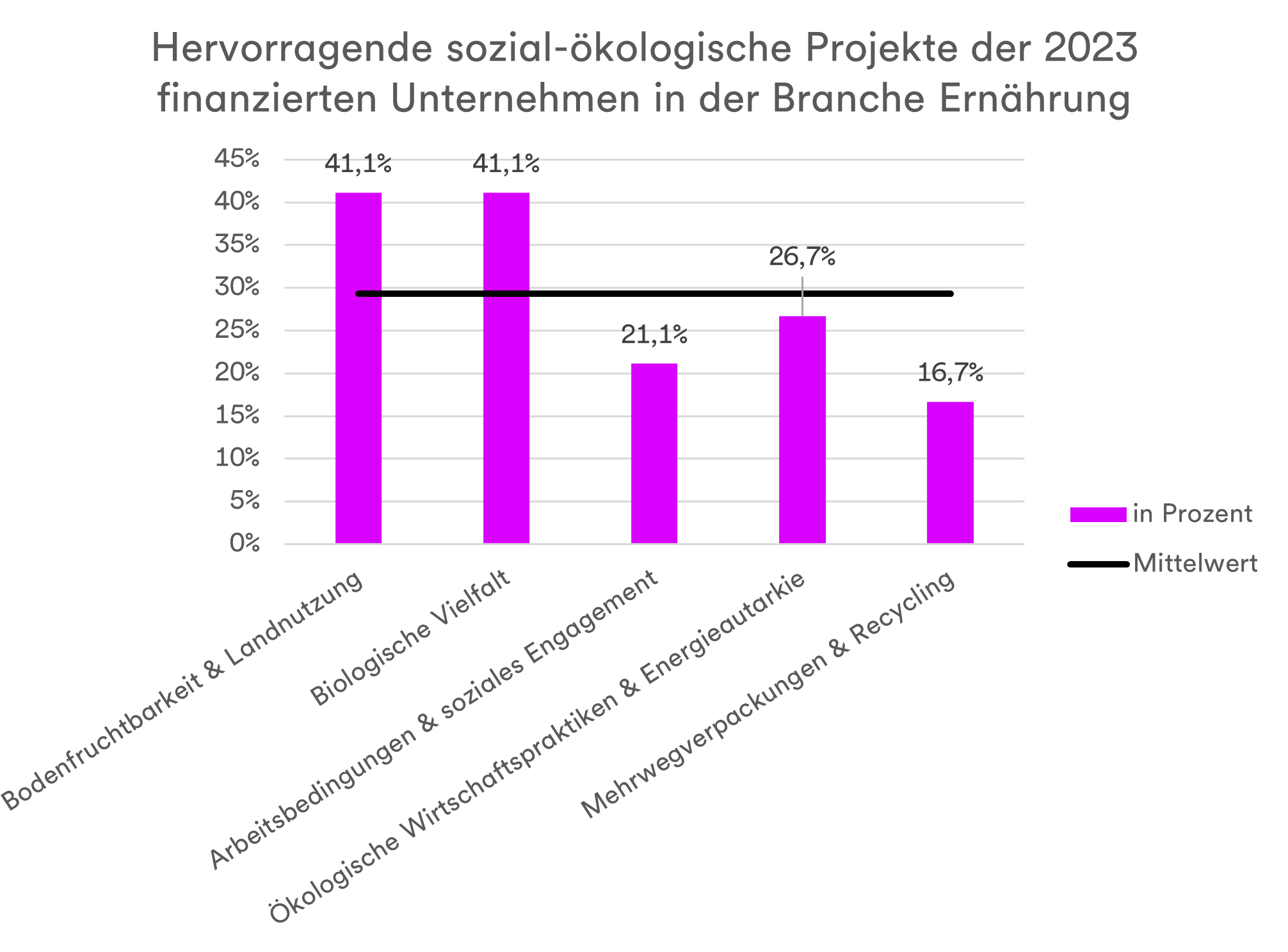 Das Diagramm zeigt das Engagement der 2023 finanzierten Unternehmen im Rahmen von sozial-ökologischen Projekten in verschiedenen Kategorien.