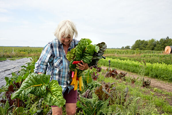 Eine Frau in einem karierten Hemd trägt geernteten Mangold auf einem Feld.