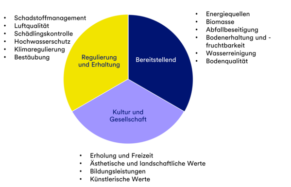 Ein Tortendiagramm mit drei beschrifteten Abschnitten in Deutsch und verschiedenen Farben.