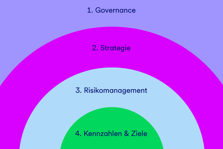 Eine Grafik, die die Umsetzung der Empfehlungen der TCFD zur Klimaberichterstattung darstellenl.